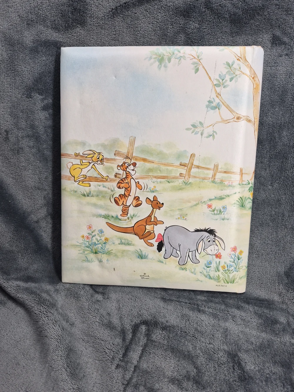 Winnie The Pooh  